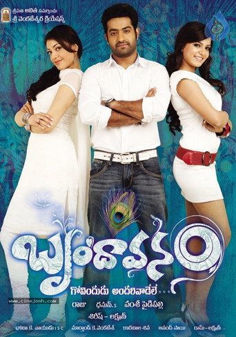 Brindaavanam (2010) Hindi Dubbed Movie download full movie