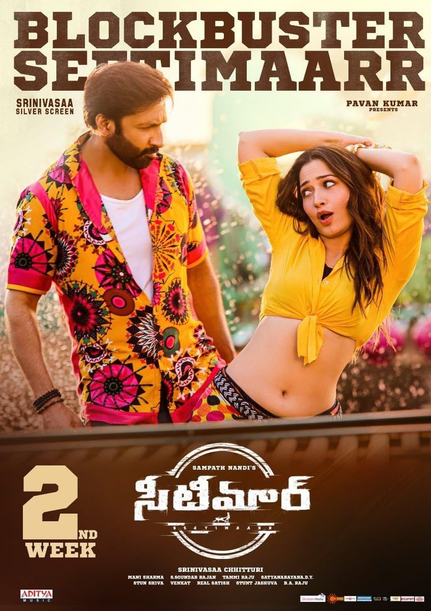 Seetimaarr (2021) Hindi Dubbed Movie download full movie
